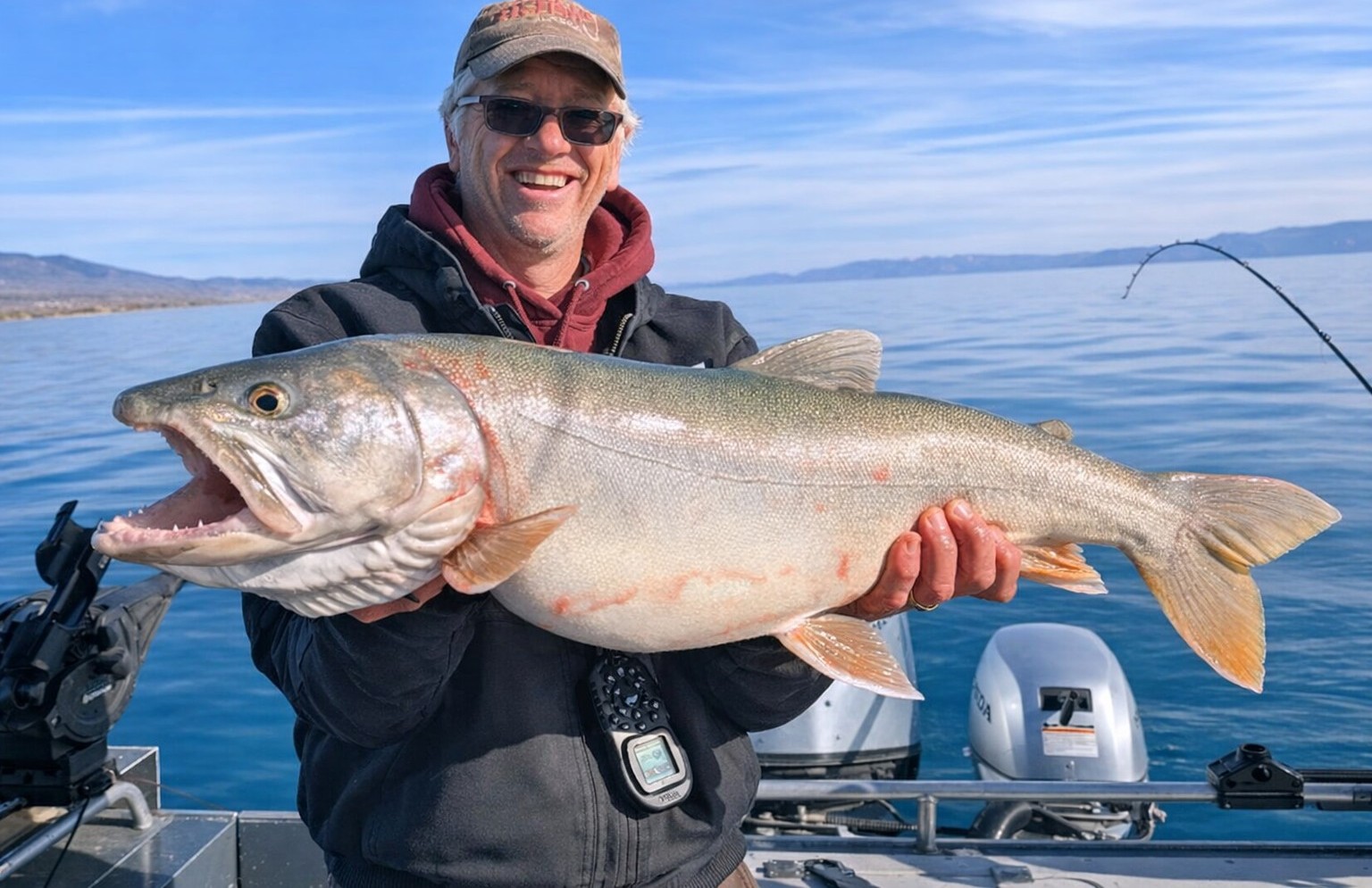 Huge Bear Lake Trout