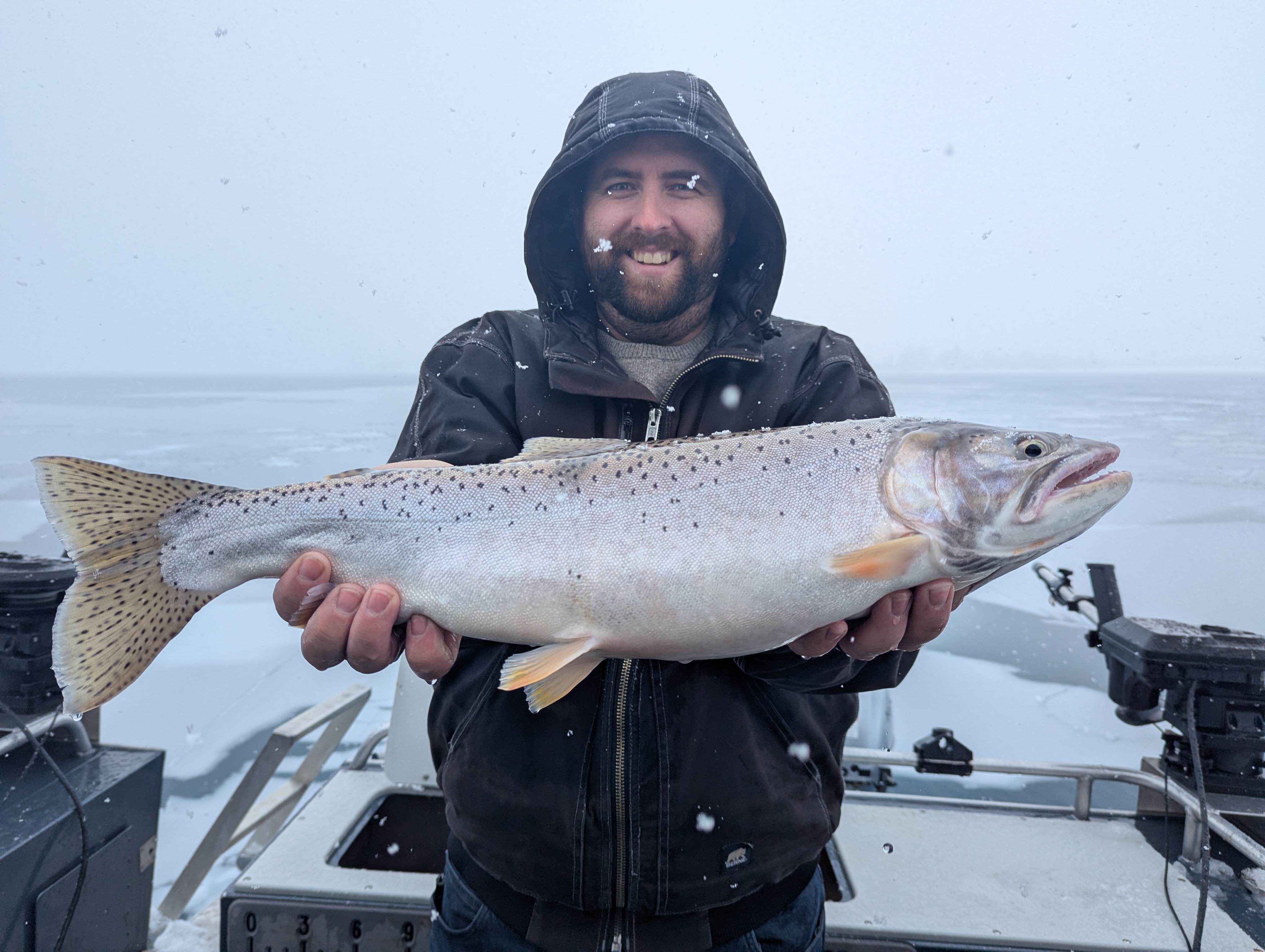 Big Bear Lake Cutthroat
